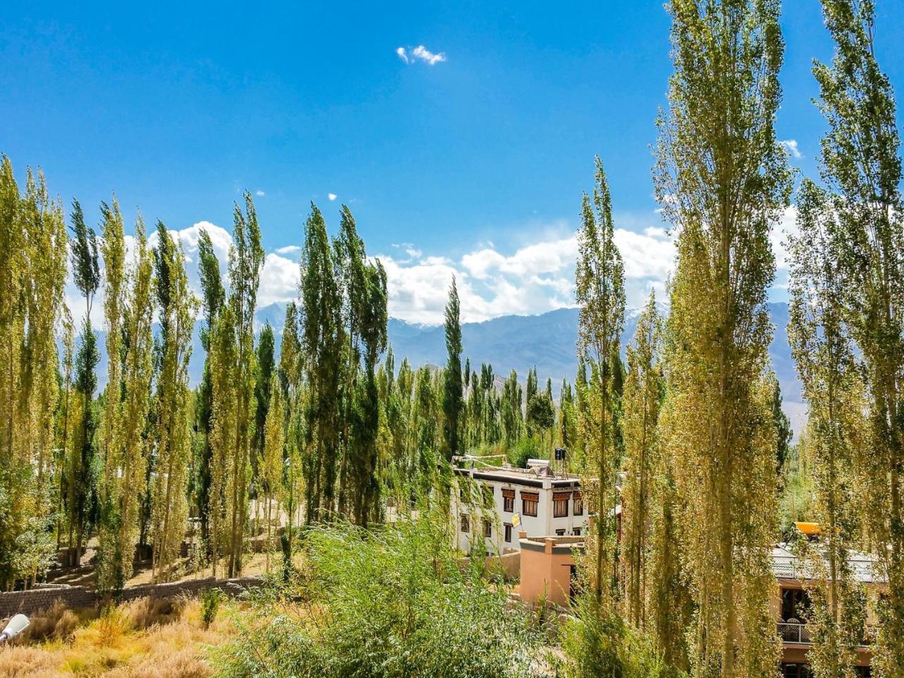 Hotel City Palace Leh Eksteriør bilde