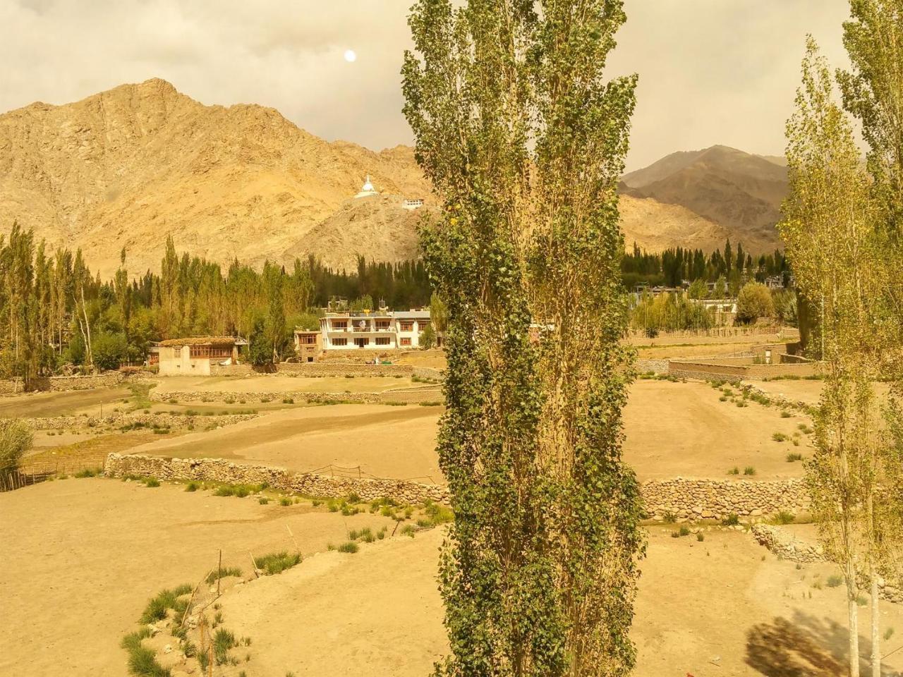 Hotel City Palace Leh Eksteriør bilde